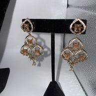 Elegant Champagne Gold Jewelry Set with Matching Earrings & Tikka
